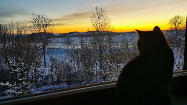 Blick mit Moritz.1 optimistischer Blick mit Moritz